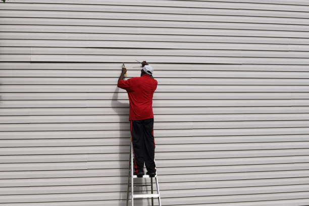 Best Fascia and Soffit Installation  in Warroad, MN